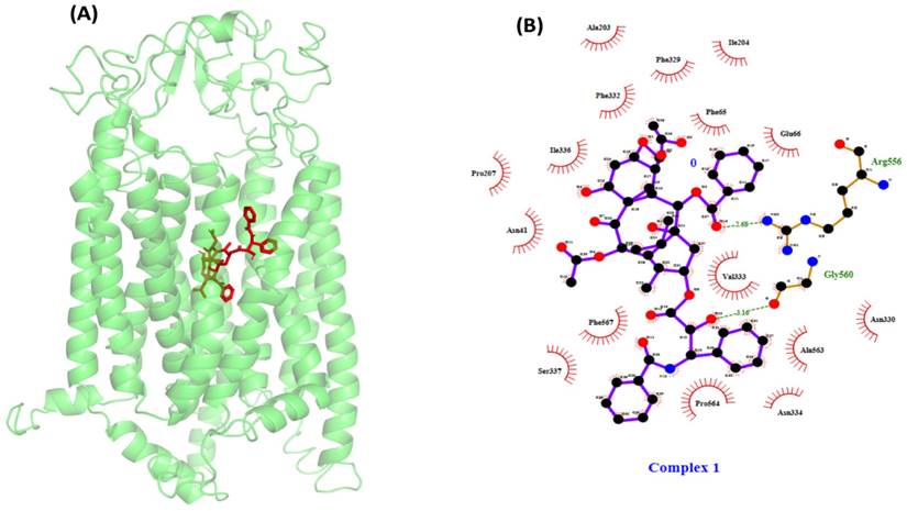 Nanotheranostics Image