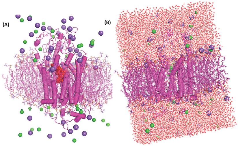 Nanotheranostics Image