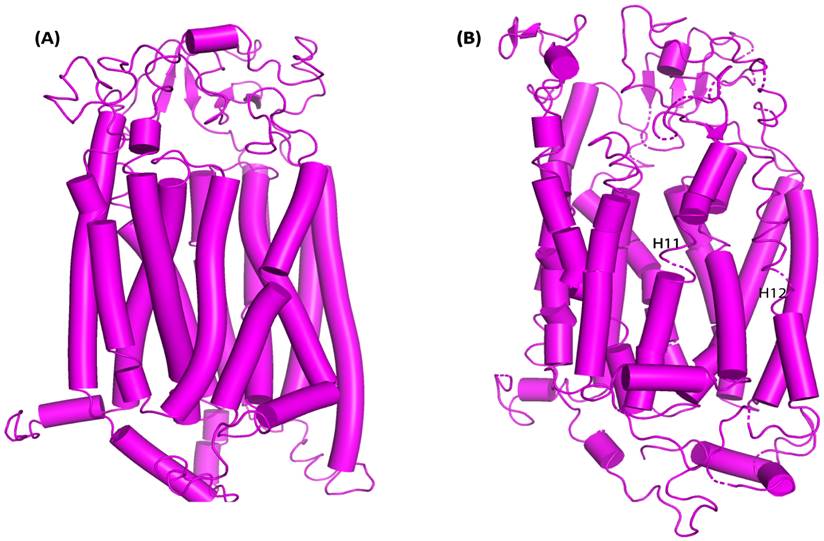 Nanotheranostics Image