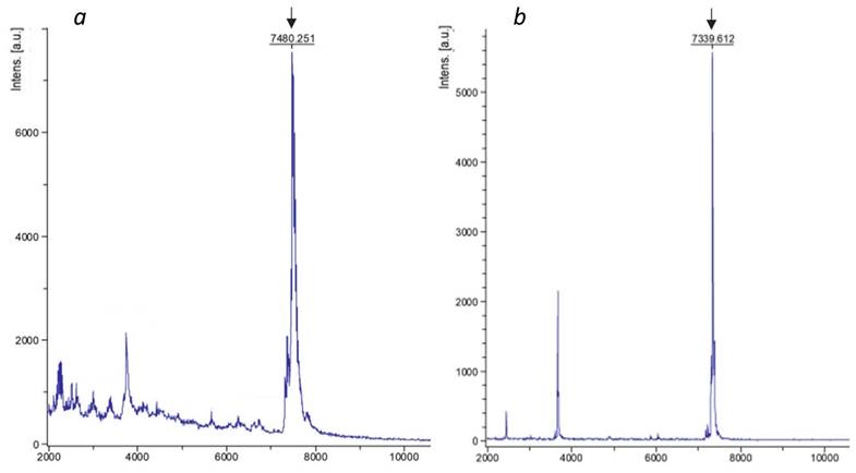 Nanotheranostics Image