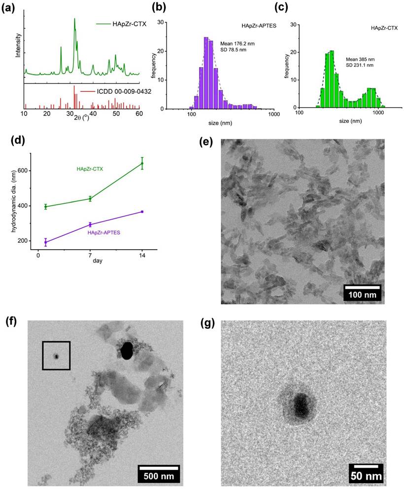 Nanotheranostics Image