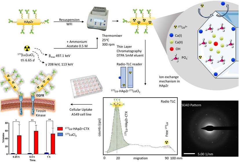 Nanotheranostics Image