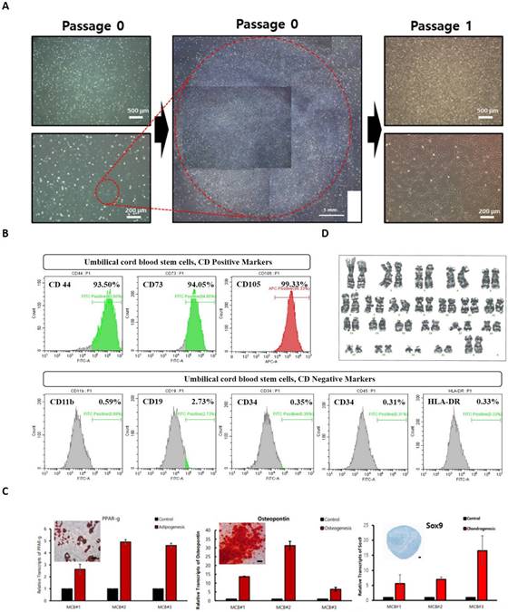 Nanotheranostics Image