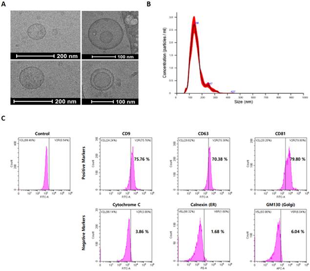 Nanotheranostics Image