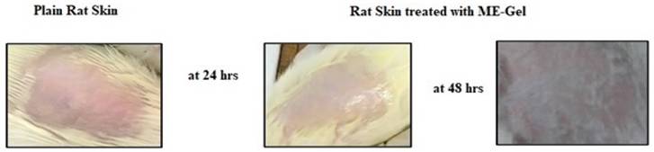 Nanotheranostics Image