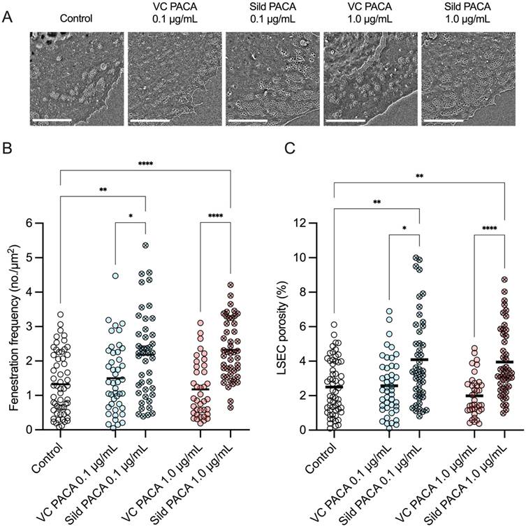 Nanotheranostics Image