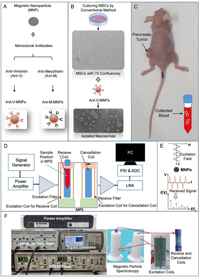 Nanotheranostics Image