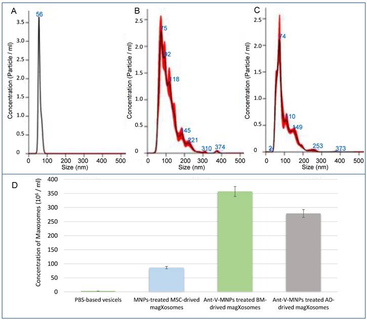 Nanotheranostics Image