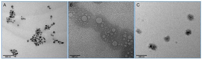 Nanotheranostics Image