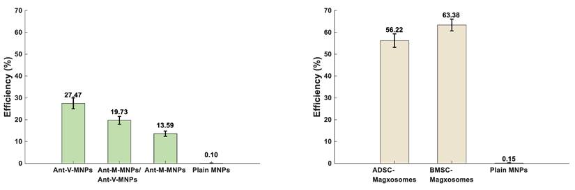 Nanotheranostics Image