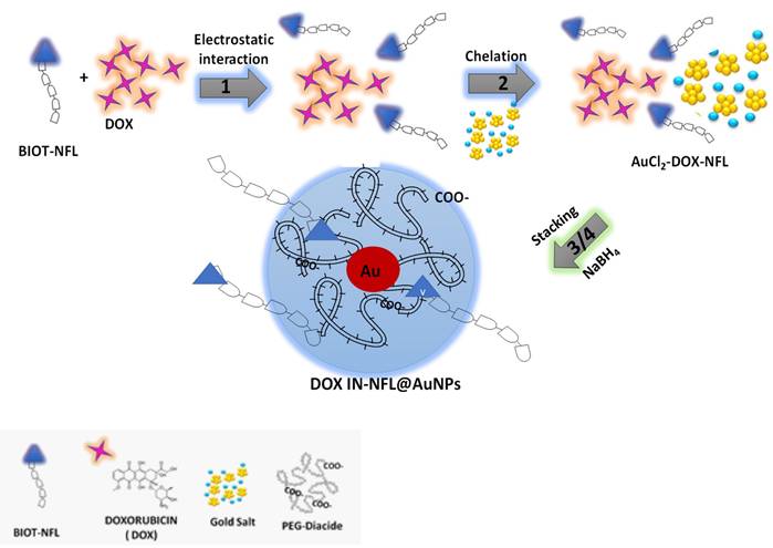 Nanotheranostics Image