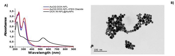 Nanotheranostics Image