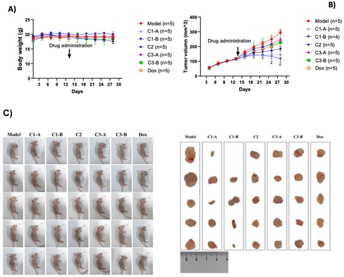 Nanotheranostics Image