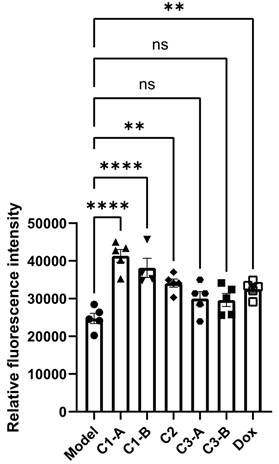 Nanotheranostics Image