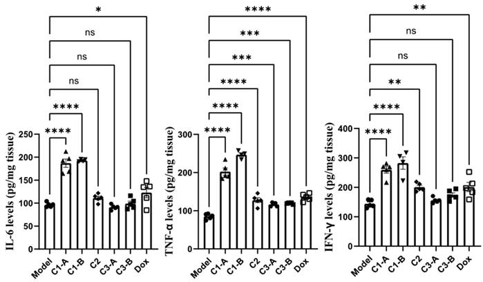 Nanotheranostics Image