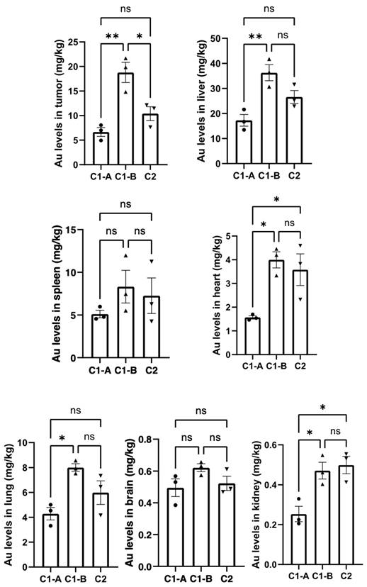 Nanotheranostics Image