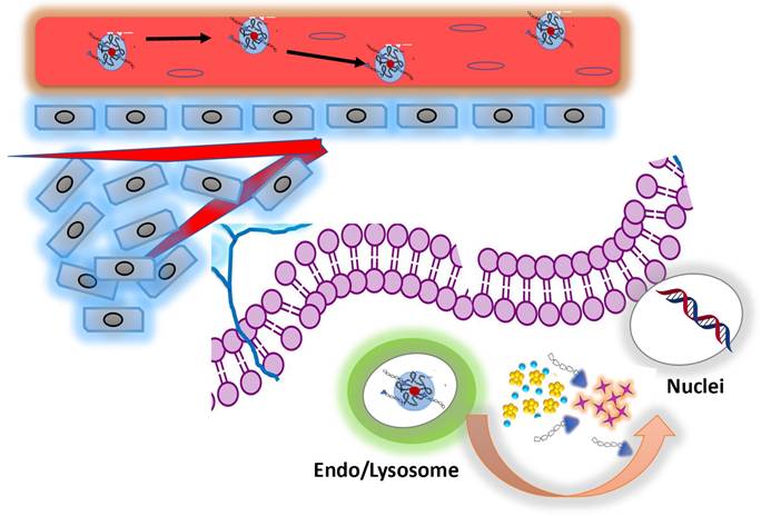 Nanotheranostics Image