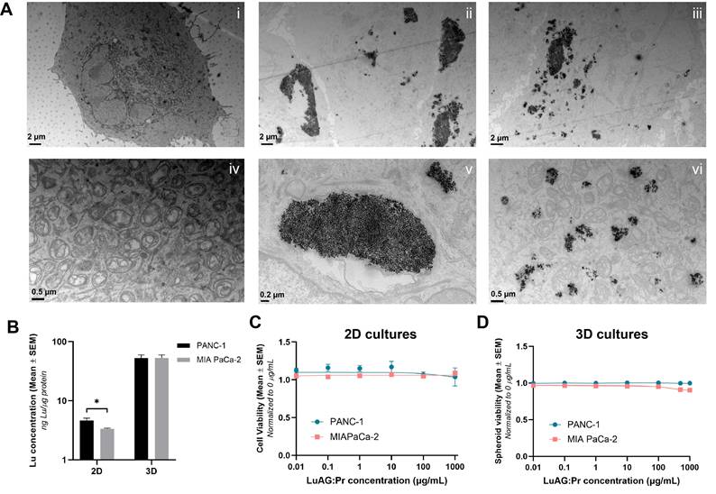 Nanotheranostics Image