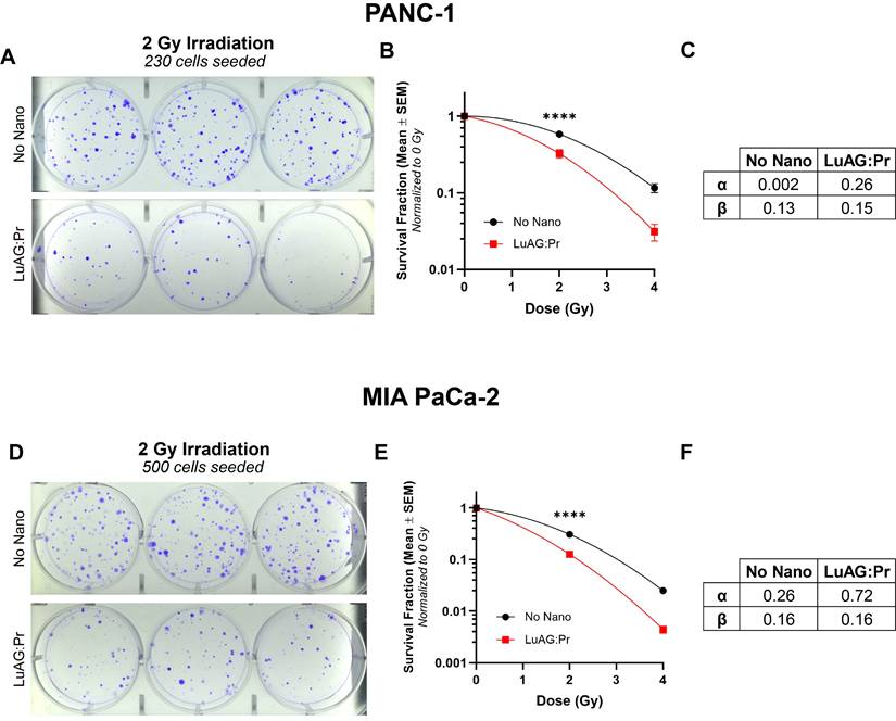 Nanotheranostics Image