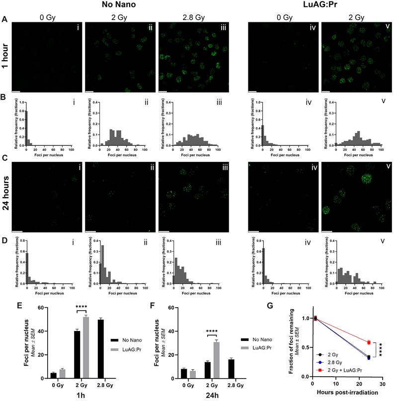 Nanotheranostics Image