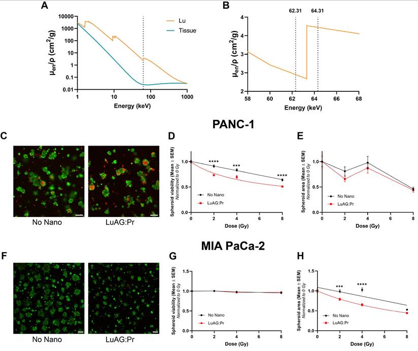Nanotheranostics Image