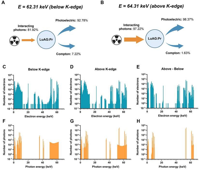 Nanotheranostics Image