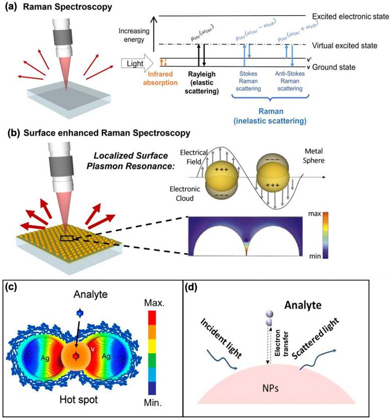 Nanotheranostics Image
