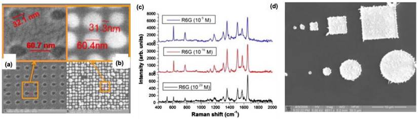 Nanotheranostics Image