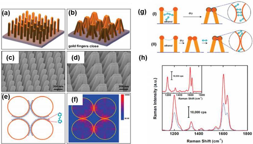 Nanotheranostics Image