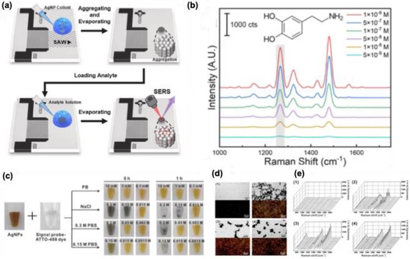 Nanotheranostics Image