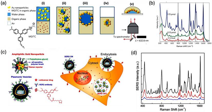 Nanotheranostics Image