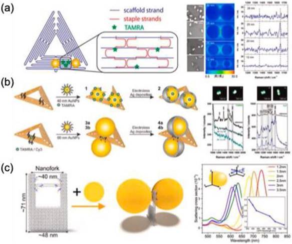 Nanotheranostics Image