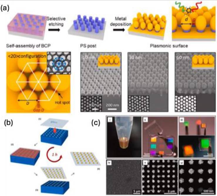 Nanotheranostics Image