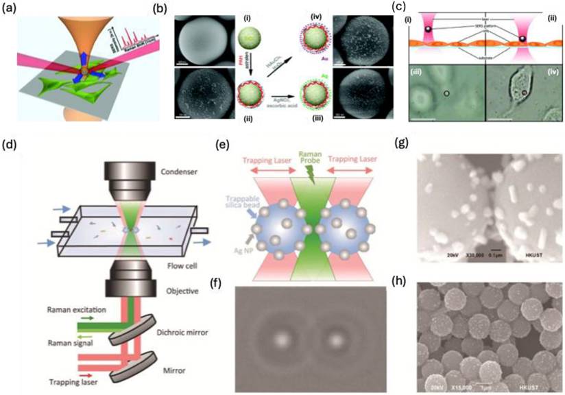 Nanotheranostics Image