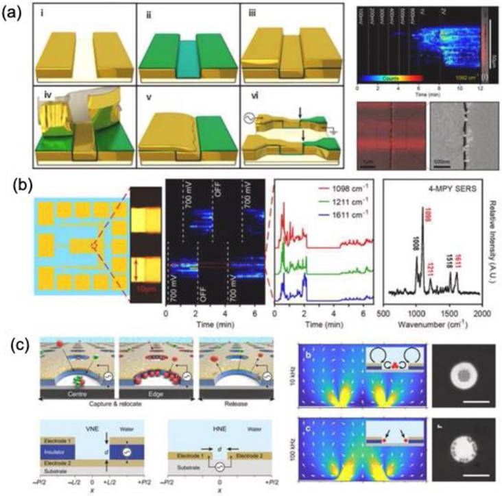 Nanotheranostics Image