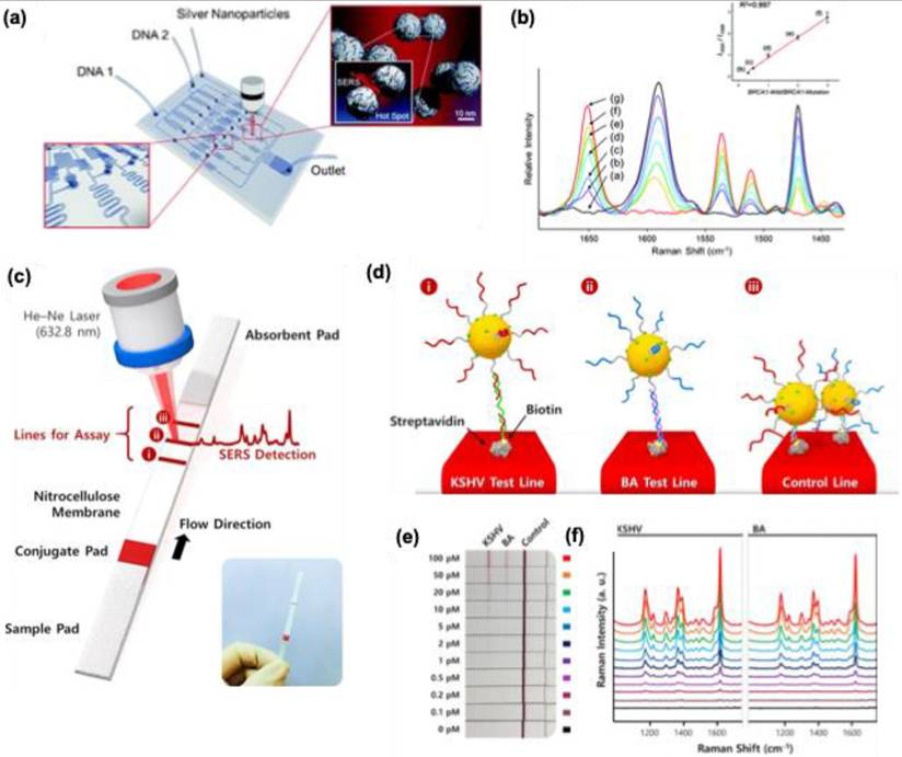 Nanotheranostics Image