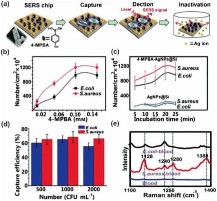 Nanotheranostics Image