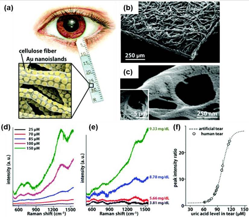 Nanotheranostics Image