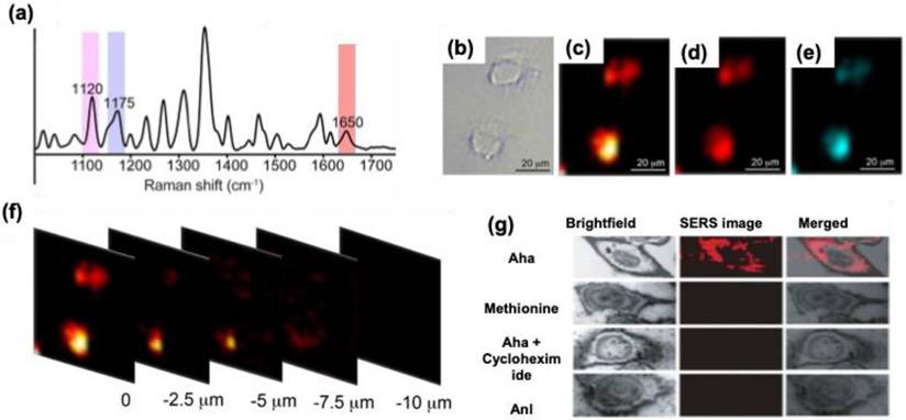 Nanotheranostics Image
