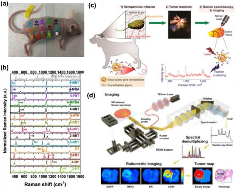 Nanotheranostics Image