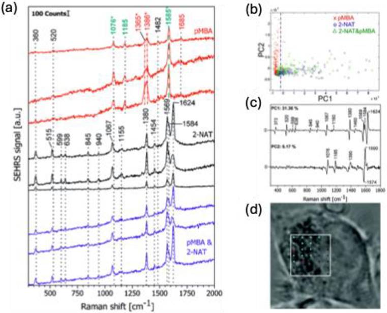 Nanotheranostics Image