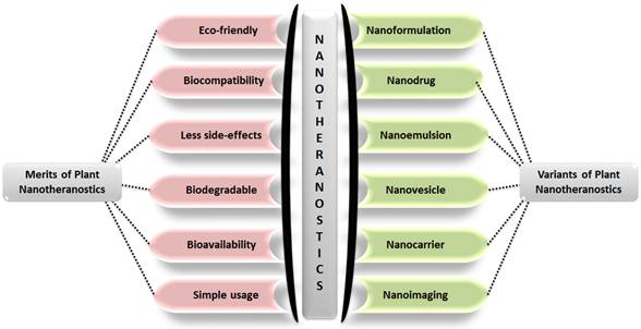 Nanotheranostics Image
