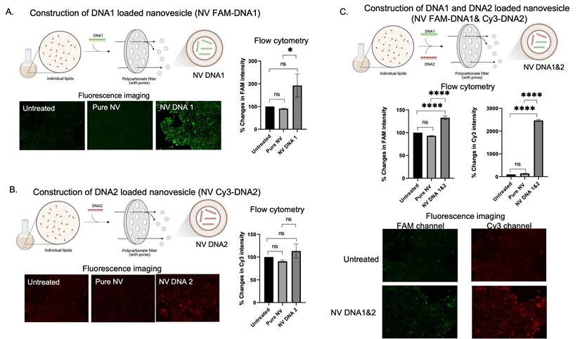 Nanotheranostics Image