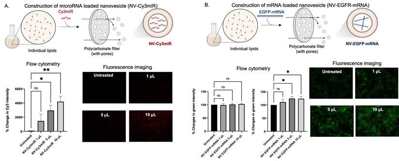 Nanotheranostics Image