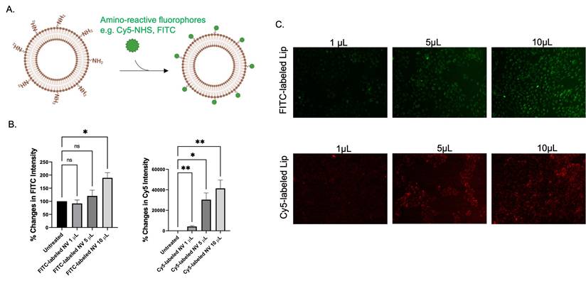 Nanotheranostics Image