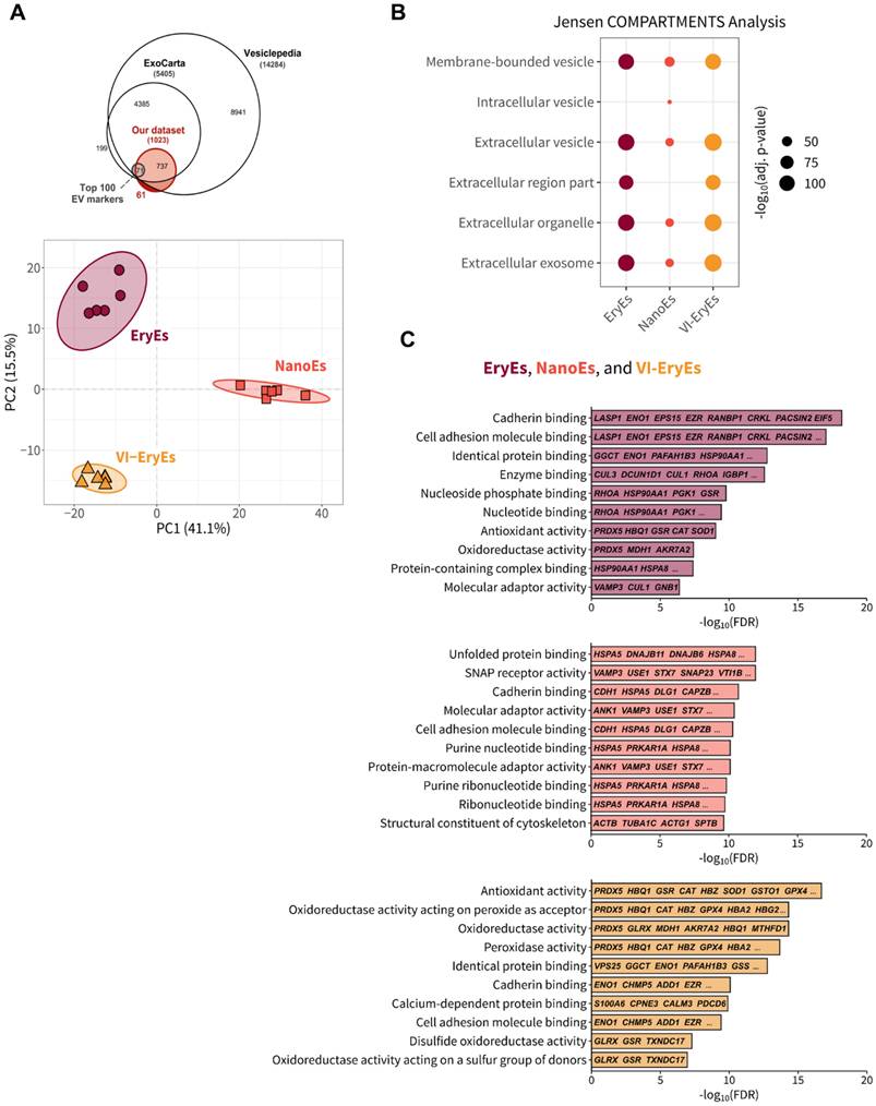 Nanotheranostics Image