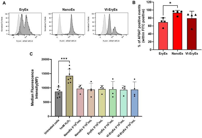 Nanotheranostics Image