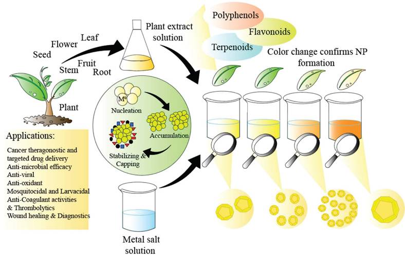 Nanotheranostics Image