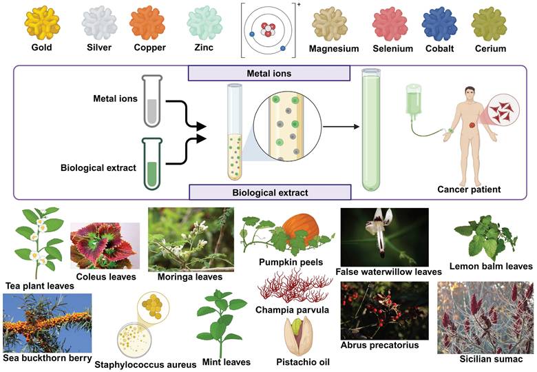 Nanotheranostics Image