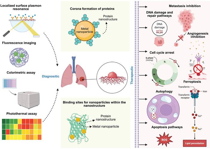 Nanotheranostics Image